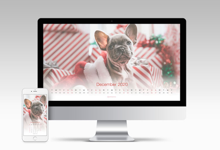 December-2020-Calendar-Wallpaper-dog-christmas