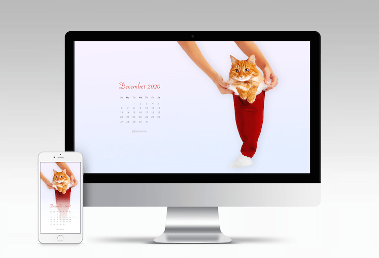 December-2020-Calendar-Wallpaper-santa-cat copy