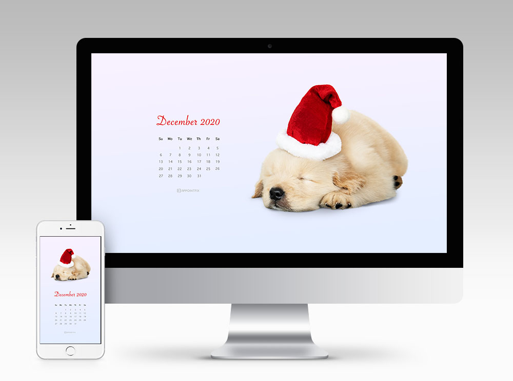 December 2020 Calendar Wallpaper - Puppy