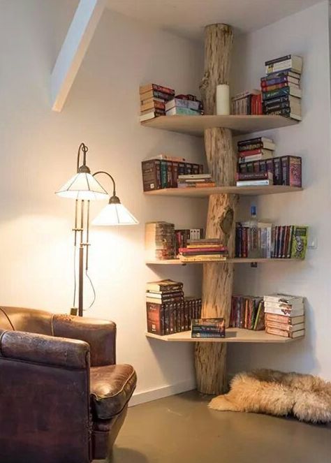 books-shelf-for-salons