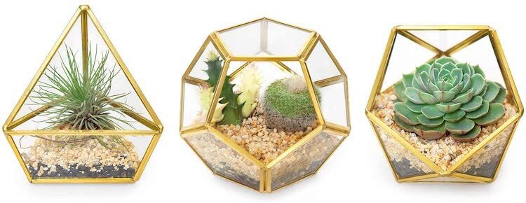plant terrarium gift ideas for therapists