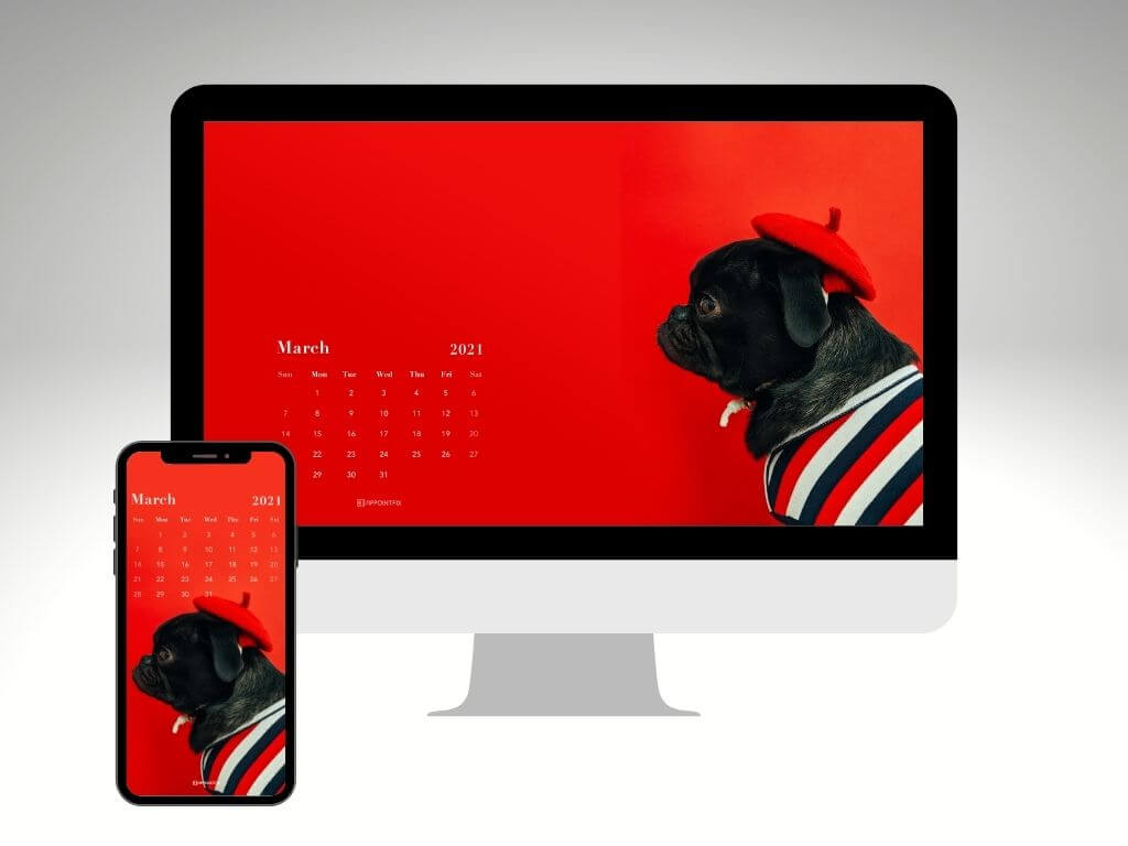 Smug Pug with hat March 2021 wallpaper calendar for desktop and mobile