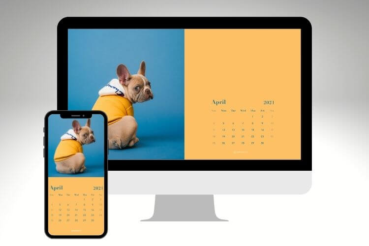 french bulldog wallpaper calendar