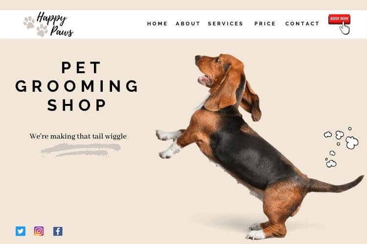 dog-groomer-professional-website