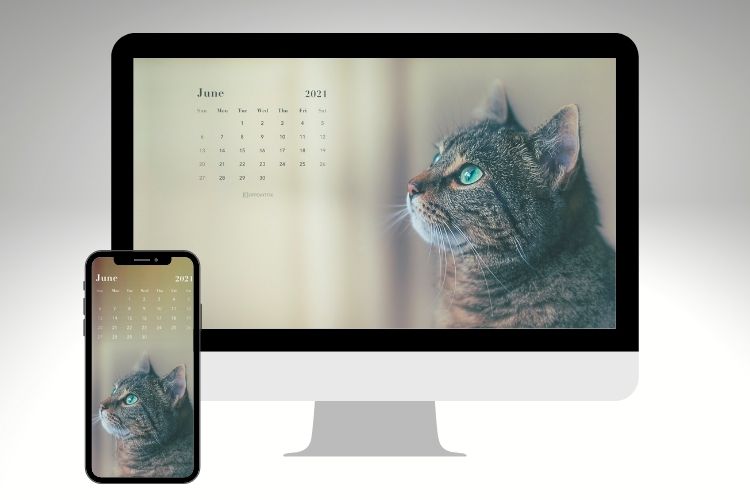 calendar-wallpaper-kitty