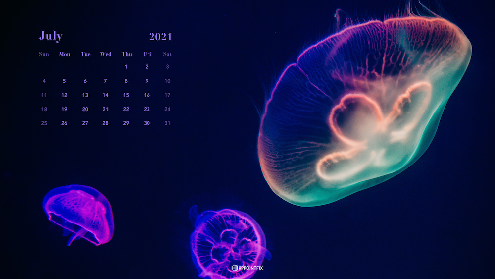 jellyfish-calendar-wallpaper
