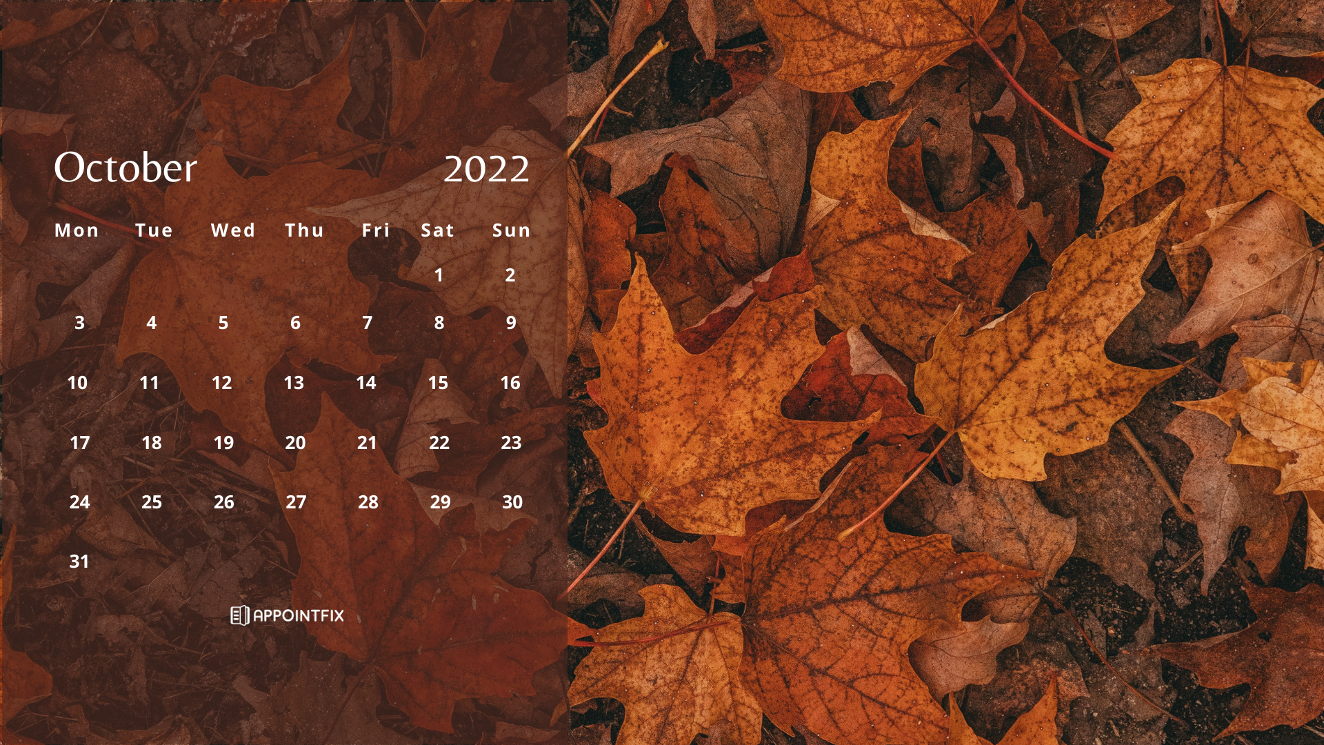 Bộ sưu tập October desktop backgrounds 2022 với nhiều phong cách độc đáo