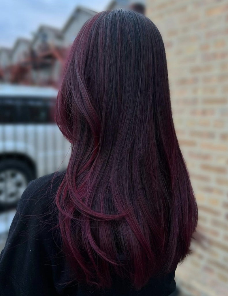 plum-fall-hair-color-trend