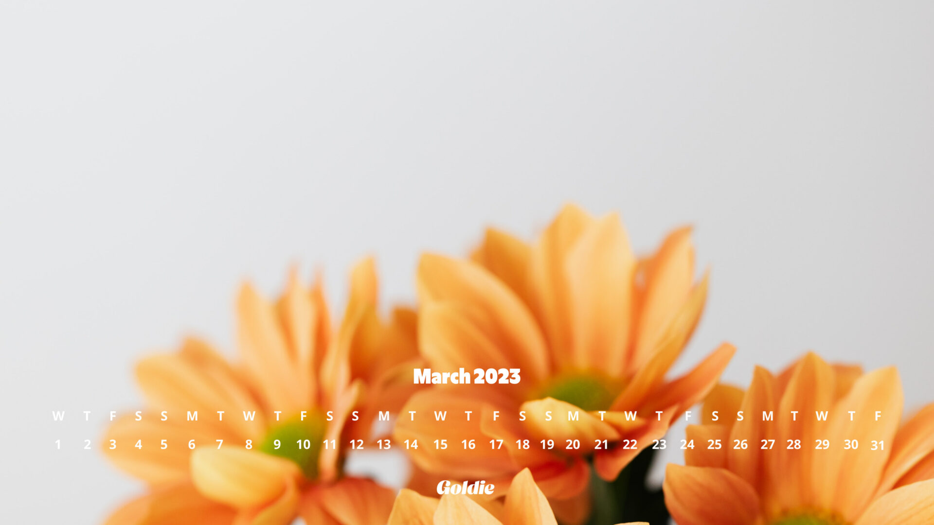 Free March 2023 Calendar Wallpapers – Desktop & Mobile