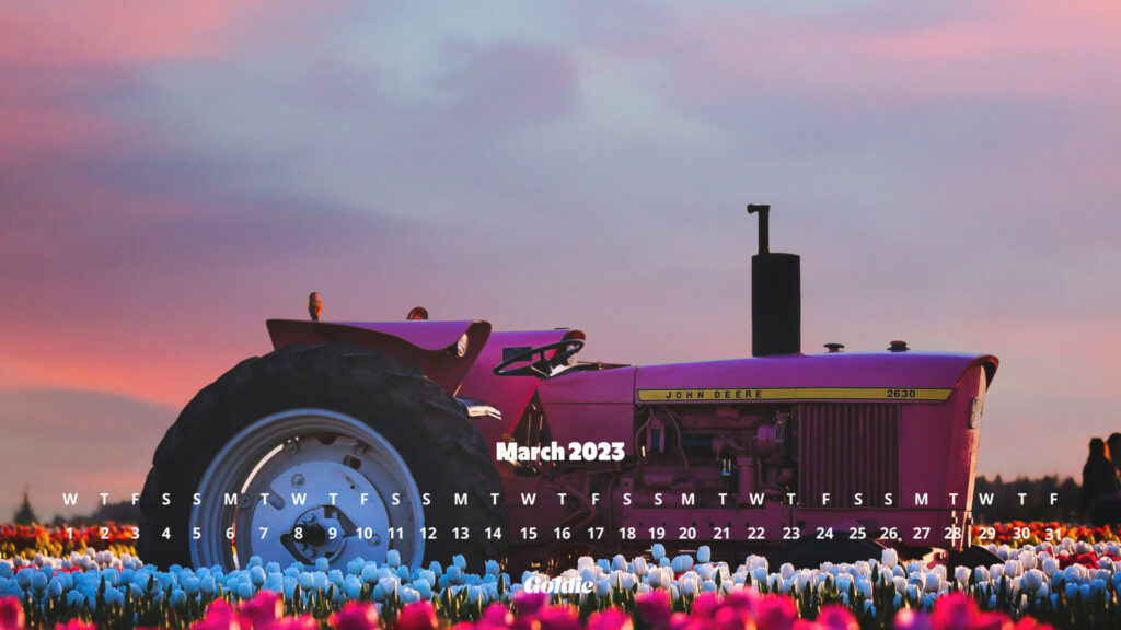 tulips-field-calendar-wallpaper-desktop