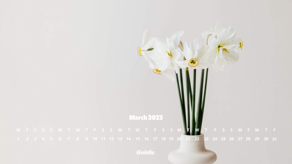 white-daffodil-calendar-wallpaper-desktop
