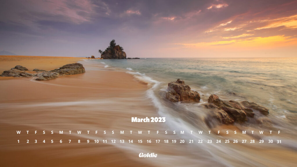 wild-beach-calendar-wallpaper-desktop