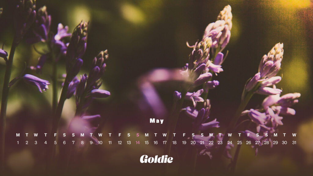 purple-flower-calendar-wallpaper-deskop