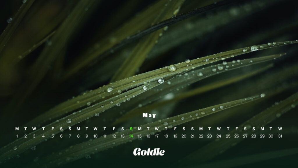 raindrops-calendar-wallpaper-desktop