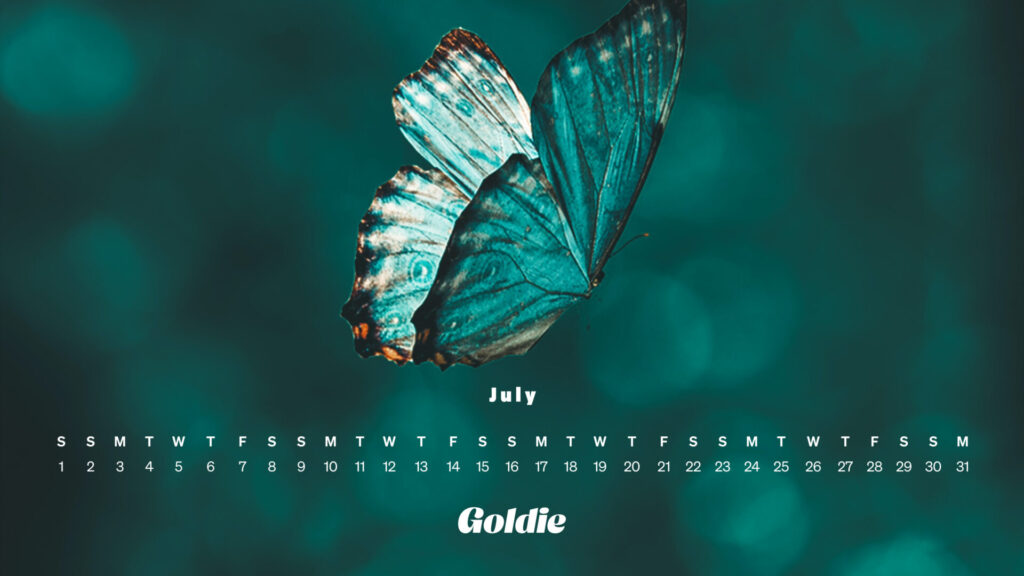 Butterfly calendar wallpaper - desktop