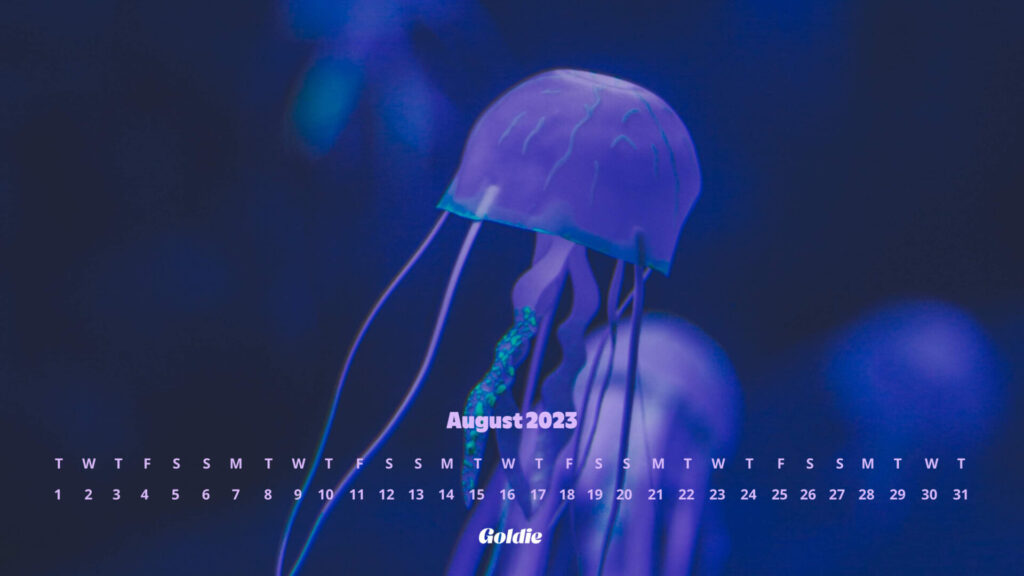 Purple jellyfish calendar wallpaper - desktop