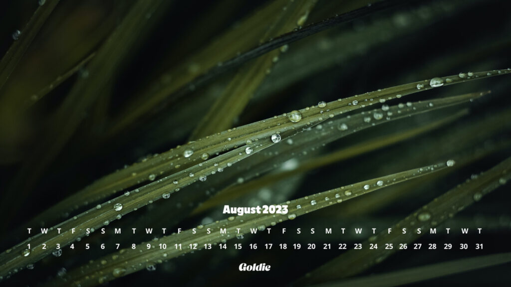 Rain drops calendar wallpaper - desktop