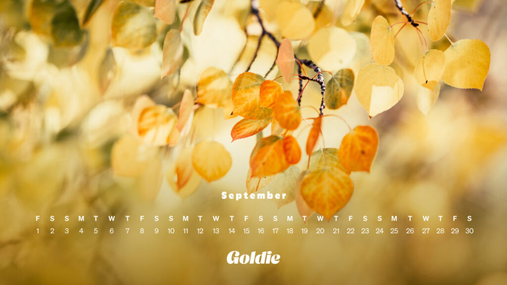 Golden Leaves Calendar Wallpaper Desktop