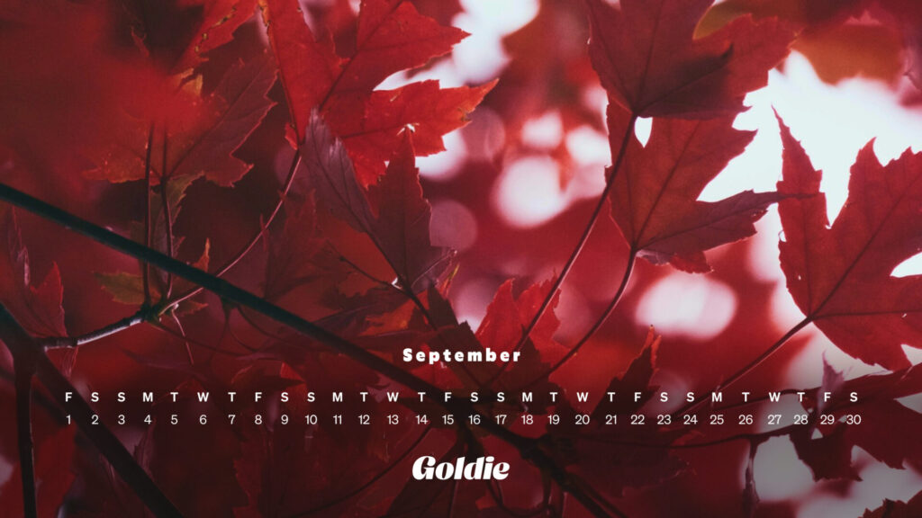 Japanese maple calendar wallpaper desktop