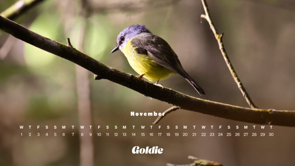 Rustic Charm Calendar Wallpaper Desktop