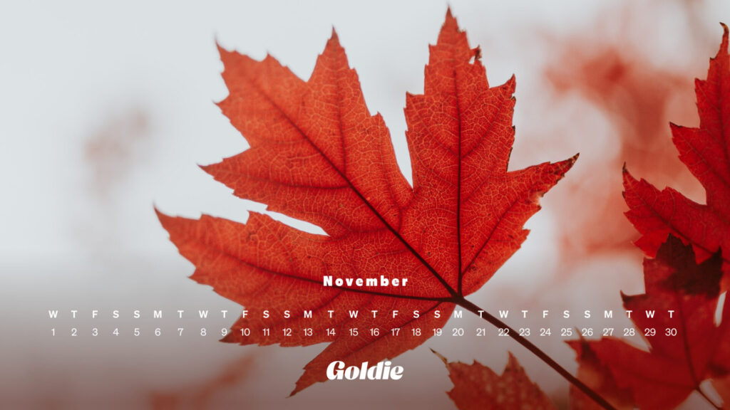Sugar Maple Calendar Wallpaper Desktop