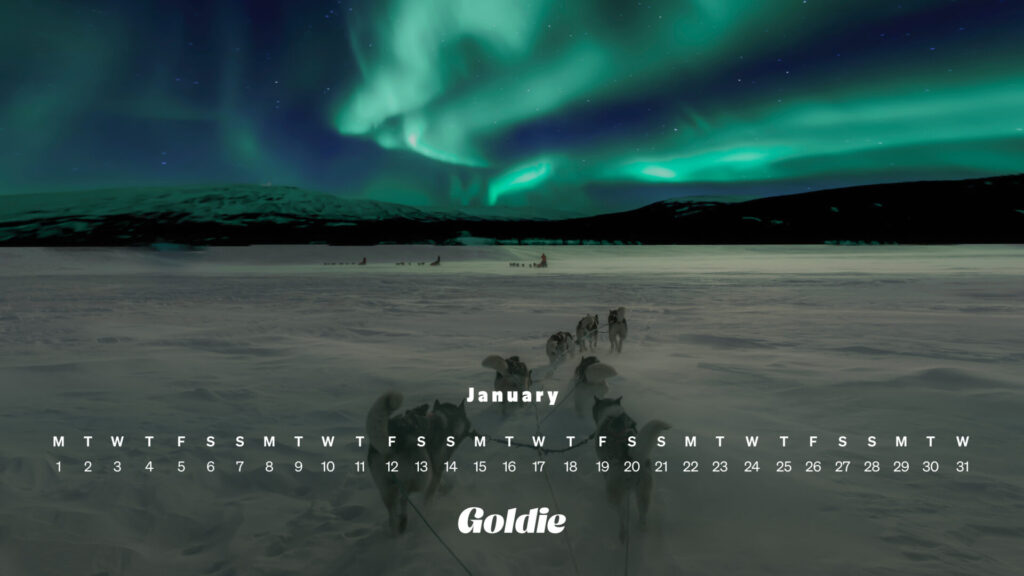 Lapland husky ride calendar wallpaper desktop