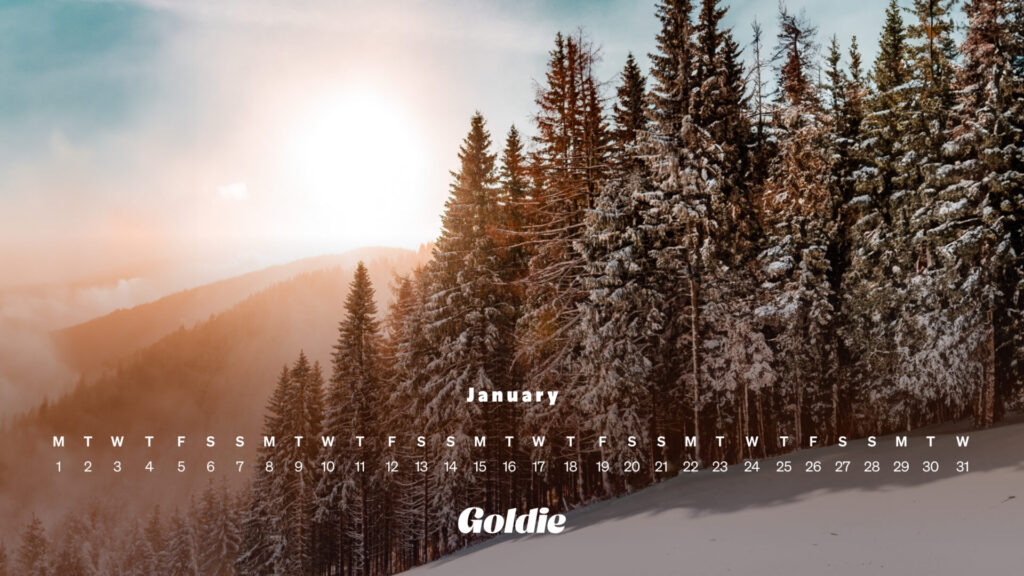 Snowkissed woodland calendar wallpaper desktop