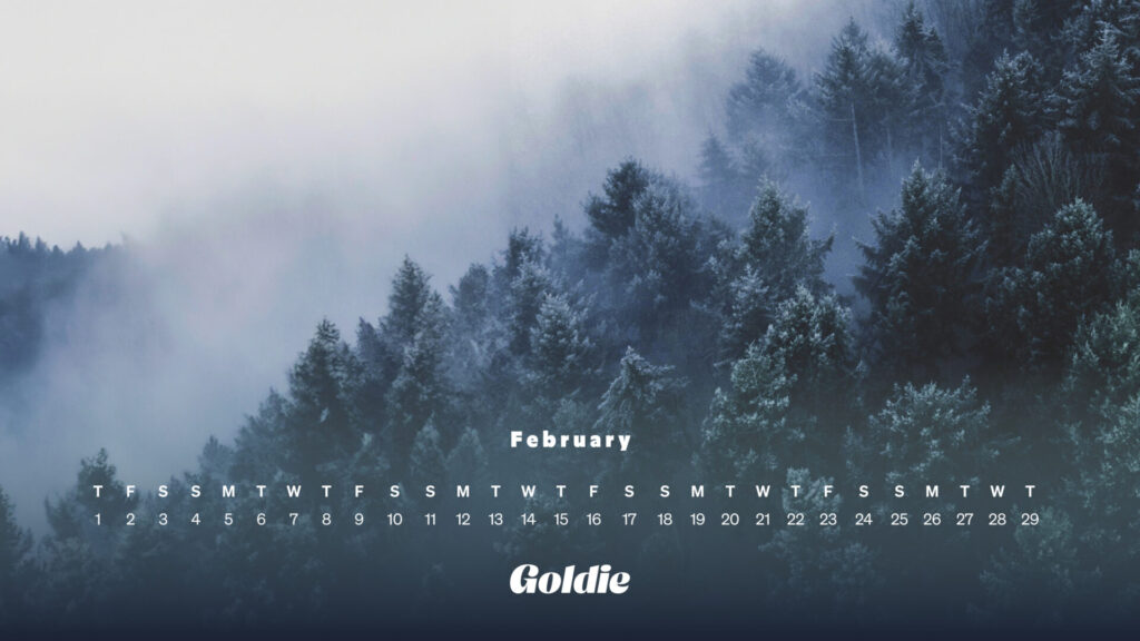 Snowy firs calendar wallpaper desktop