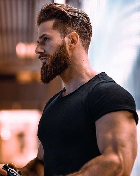 Spartan beard style