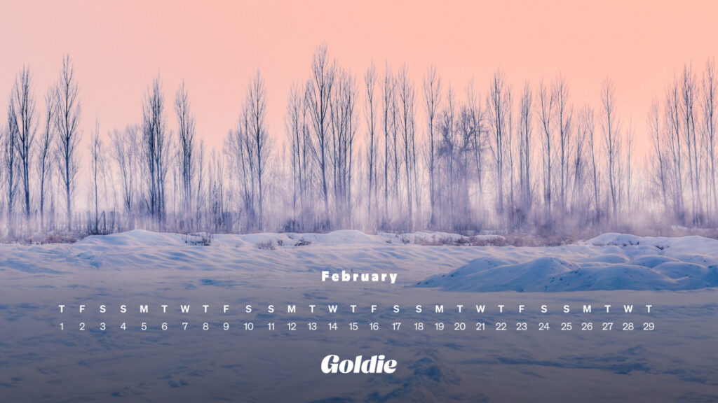 Winter silence calendar wallpaper desktop