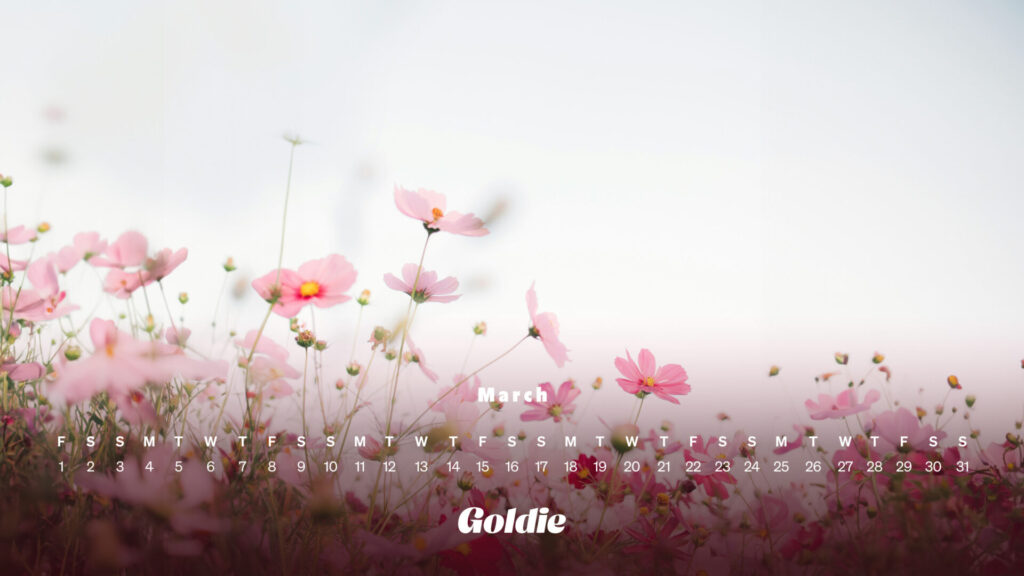 Pink flowers field calendar wallpaper desktop