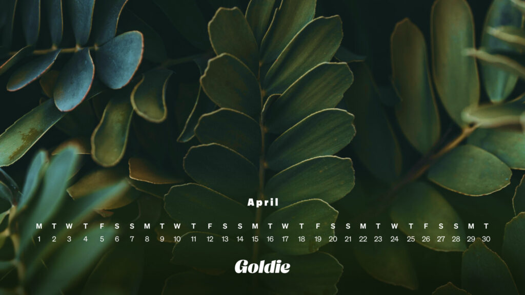Green plant calendar wallpaper desktop