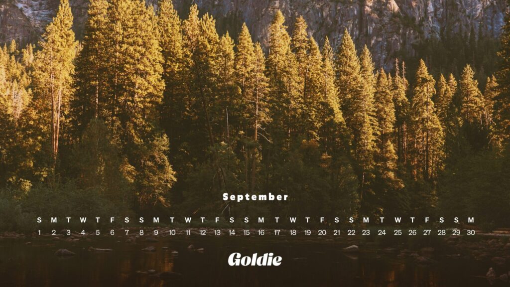 Autumn forest calendar wallpaepr desktop