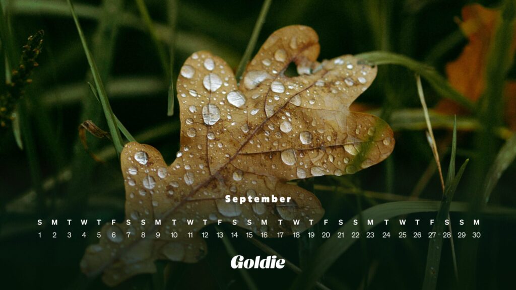 Rain drops calendar wallpaper desktop