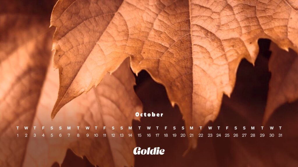 Autumn vibes wallpaper calendar desktop