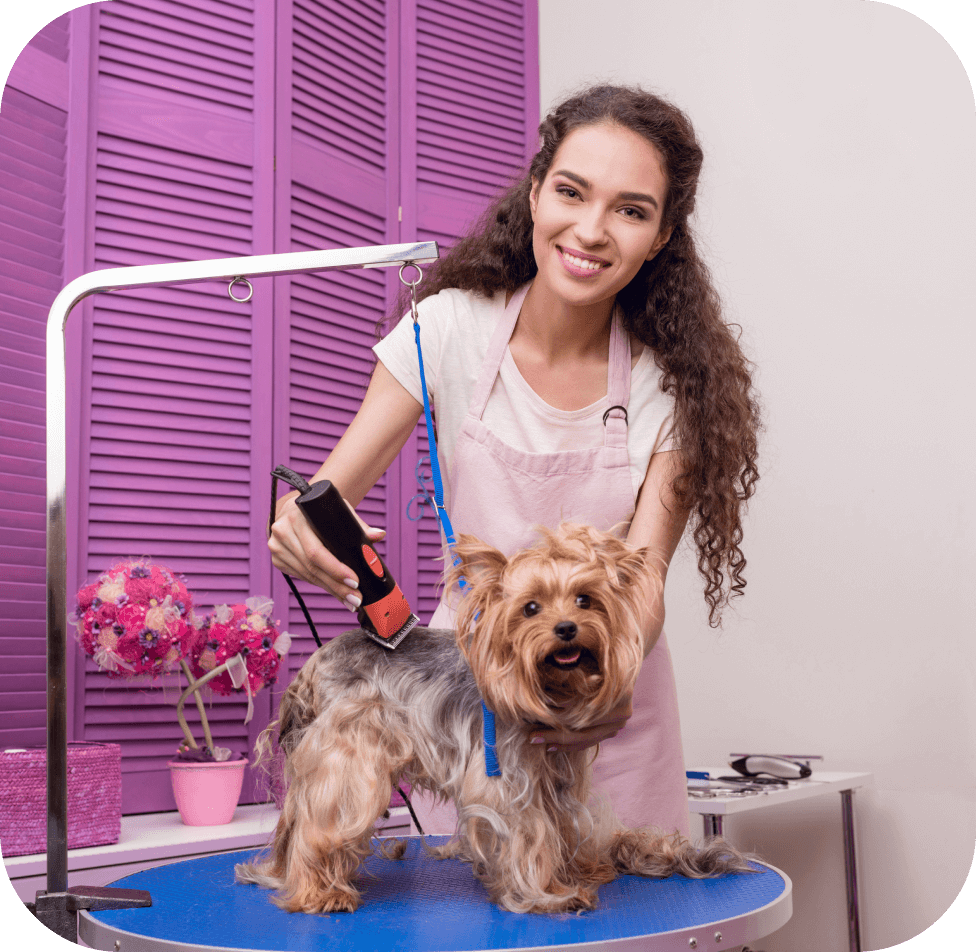 Goldie header pet grooming software